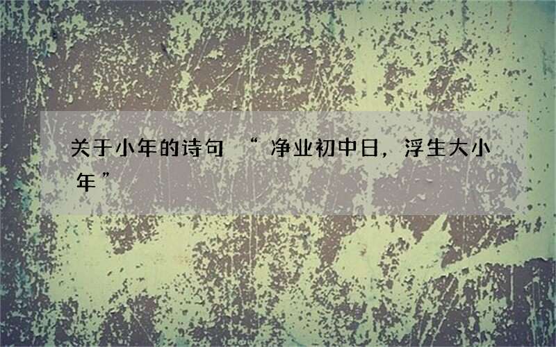 关于小年的诗句 &ldquo;净业初中日，浮生大小年&rdquo;